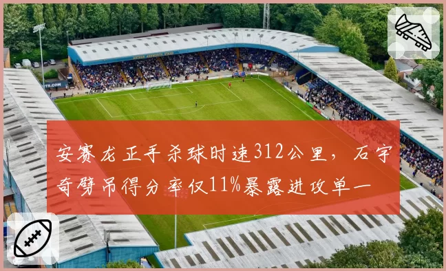 安赛龙正手杀球时速312公里，石宇奇劈吊得分率仅11%暴露进攻单一