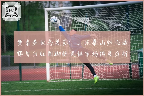 费南多状态复苏:山东泰山归化边锋与当红国脚林良铭市场热度分析