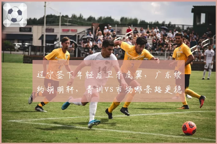 辽宁签下年轻后卫李虎翼，广东续约胡明轩，青训vs市场哪条路更稳？
