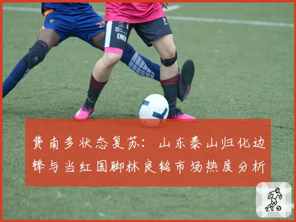费南多状态复苏:山东泰山归化边锋与当红国脚林良铭市场热度分析