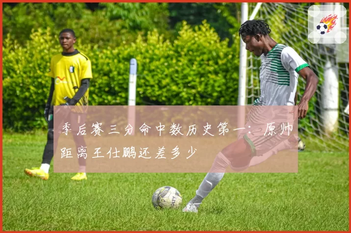 季后赛三分命中数历史第一:原帅距离王仕鹏还差多少